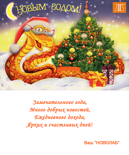 Поздравление с Новым годом от Новолаб Поздравление с Новым годом от Новолаб